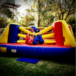 Bouncy Boxing Ring