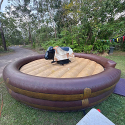 Bucking Bull Darwin
